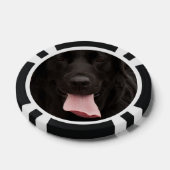 Zwarte hond poker chips (Enkel)