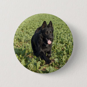 Zwarte hond ronde button 5,7 cm