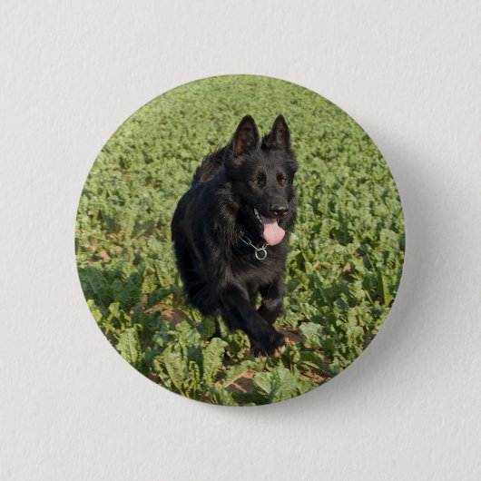 Zwarte hond ronde button 5,7 cm (Voorkant)