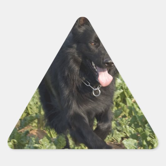 Zwarte hond sticker (Voorkant)