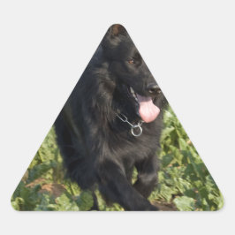 Zwarte hond sticker