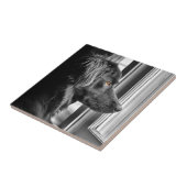 Zwarte hond tegeltje (Zijkant)