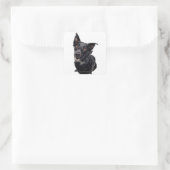 Zwarte hond vierkante sticker (Tas)