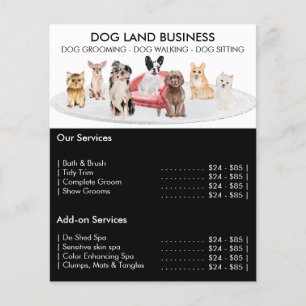 Zwarte Honden groomer Oppasser Walker Huisdier Ser Flyer
