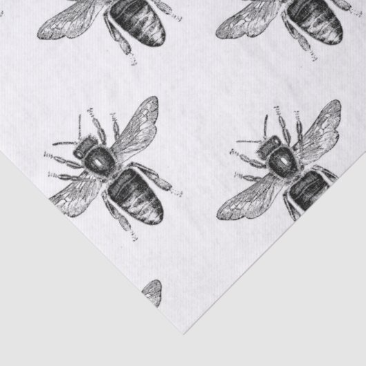 Zwarte honingbijen op witte ontkoppeling tissuepapier (Detail)