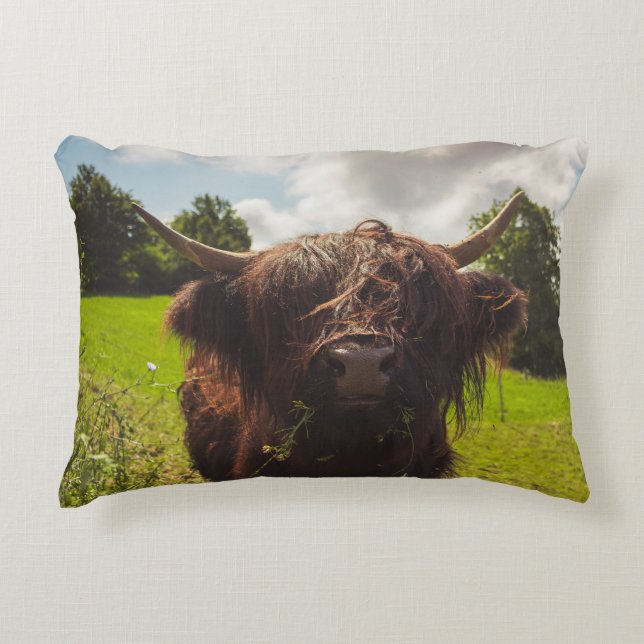 Zwarte hoogland koe grazend groen veld zonlicht accent kussen (Voorkant)