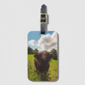 Zwarte hoogland koe grazend groen veld zonlicht bagagelabel (Voorkant (verticaal))