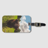 Zwarte hoogland koe grazend groen veld zonlicht bagagelabel (Voorkant (horizontaal))