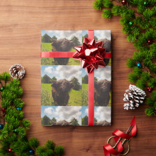 Zwarte hoogland koe grazend groen veld zonlicht cadeaupapier