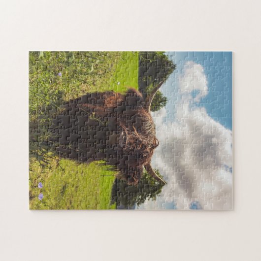 Zwarte hoogland koe grazend groen veld zonlicht legpuzzel (Horizontaal)