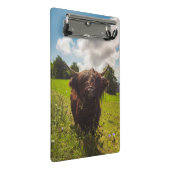 Zwarte hoogland koe grazend groen veld zonlicht mini klembord (Schuin)