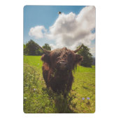 Zwarte hoogland koe grazend groen veld zonlicht mini klembord (Achterkant)