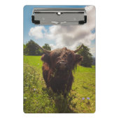 Zwarte hoogland koe grazend groen veld zonlicht mini klembord (Voorkant)