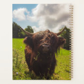 Zwarte hoogland koe grazend groen veld zonlicht planner (Achterkant)