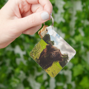Zwarte hoogland koe grazend groen veld zonlicht sleutelhanger