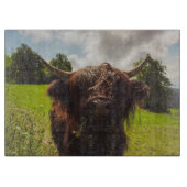 Zwarte hoogland koe grazend groen veld zonlicht snijplank (Voorkant)