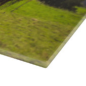 Zwarte hoogland koe grazend groen veld zonlicht snijplank (Hoek)