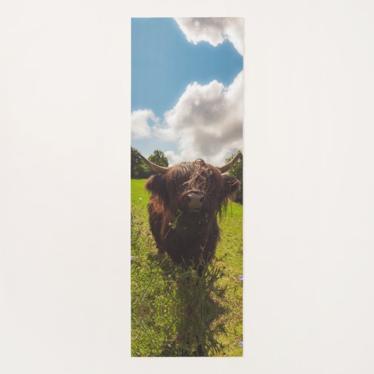 Zwarte hoogland koe grazend groen veld zonlicht yogamat (Achterkant)