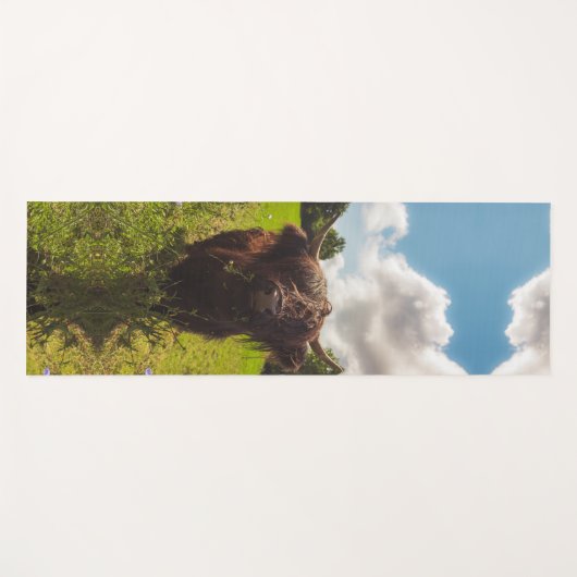 Zwarte hoogland koe grazend groen veld zonlicht yogamat (Voorkant (horizontaal))