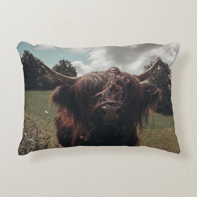 Zwarte hoogland Schotse koe grazend  retro Accent Kussen (Voorkant)
