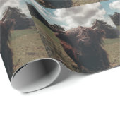 Zwarte hoogland Schotse koe grazend retro Cadeaupapier (Rol Hoek)