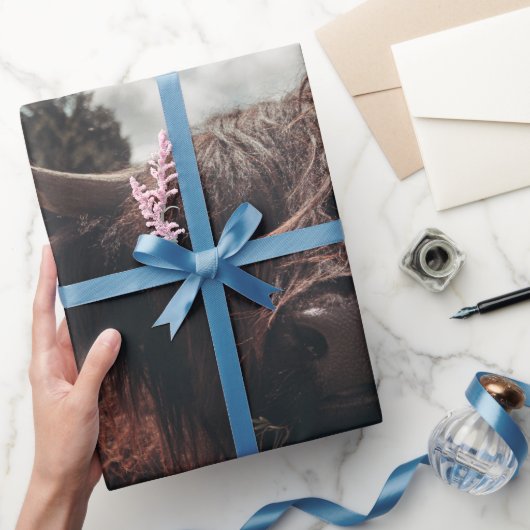 Zwarte hoogland Schotse koe grazend retro Cadeaupapier (Geschenken)