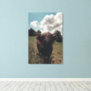 Zwarte hoogland Schotse koe grazend  retro Canvas Afdruk