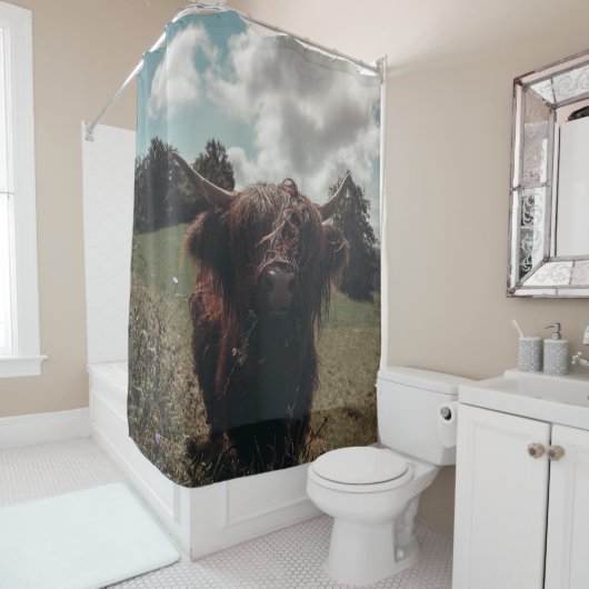 Zwarte hoogland Schotse koe grazend  retro Douchegordijn (In situ)