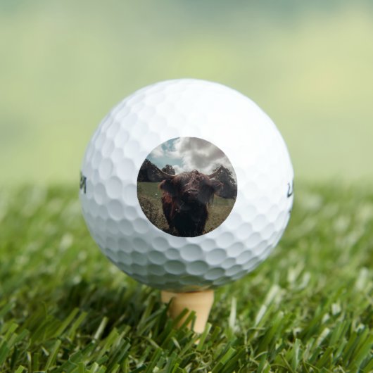 Zwarte hoogland Schotse koe grazend  retro Golfballen (Insitu Shirt)