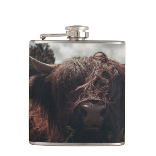 Zwarte hoogland Schotse koe grazend retro Heupfles