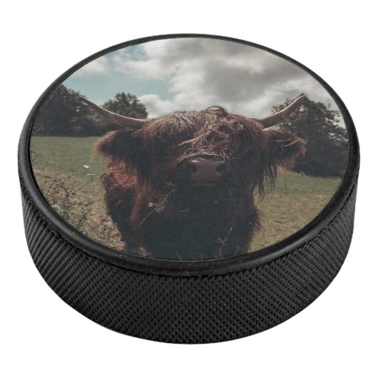 Zwarte hoogland Schotse koe grazend  retro Hockey Puck (3/4)