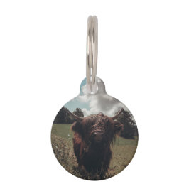 Zwarte hoogland Schotse koe grazend  retro Huisdierpenning
