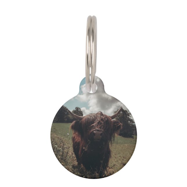 Zwarte hoogland Schotse koe grazend  retro Huisdierpenning (Voorkant)