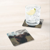 Zwarte hoogland Schotse koe grazend  retro Kartonnen Onderzetters (Insitu)