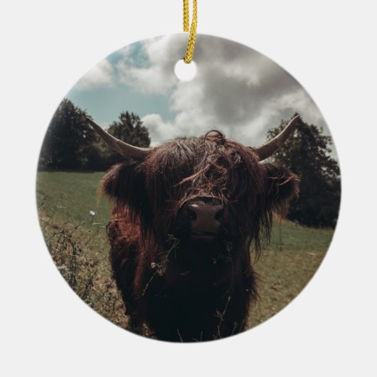 Zwarte hoogland Schotse koe grazend  retro Keramisch Ornament (Voorkant)