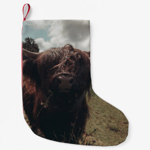 Zwarte hoogland Schotse koe grazend retro Kleine Kerstsok