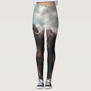 Zwarte hoogland Schotse koe grazend retro Leggings