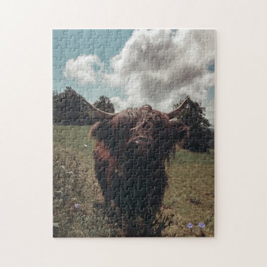 Zwarte hoogland Schotse koe grazend  retro Legpuzzel (Verticaal)