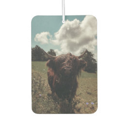 Zwarte hoogland Schotse koe grazend  retro Luchtverfrisser