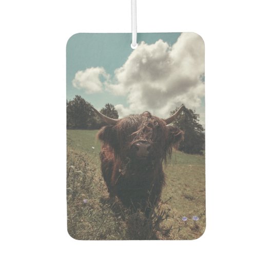 Zwarte hoogland Schotse koe grazend retro Luchtverfrisser (Voorkant)
