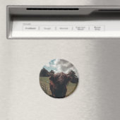 Zwarte hoogland Schotse koe grazend  retro Magneet (Insitu (Vaatwasser))