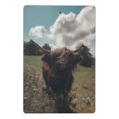 Zwarte hoogland Schotse koe grazend  retro Mini Klembord (Achterkant)