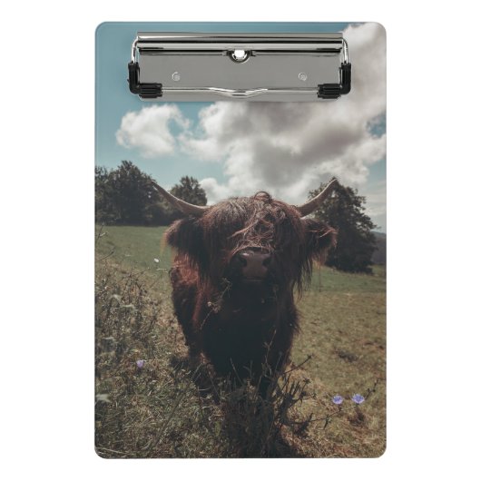 Zwarte hoogland Schotse koe grazend  retro Mini Klembord (Voorkant)