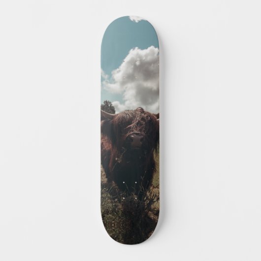 Zwarte hoogland Schotse koe grazend  retro Persoonlijk Skateboard (Voorkant)