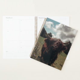 Zwarte hoogland Schotse koe grazend  retro Planner