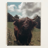 Zwarte hoogland Schotse koe grazend retro Planner (Voorkant)