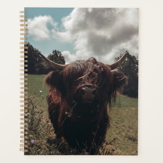 Zwarte hoogland Schotse koe grazend  retro Planner (Voorkant)