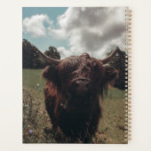 Zwarte hoogland Schotse koe grazend retro Planner (Achterkant)