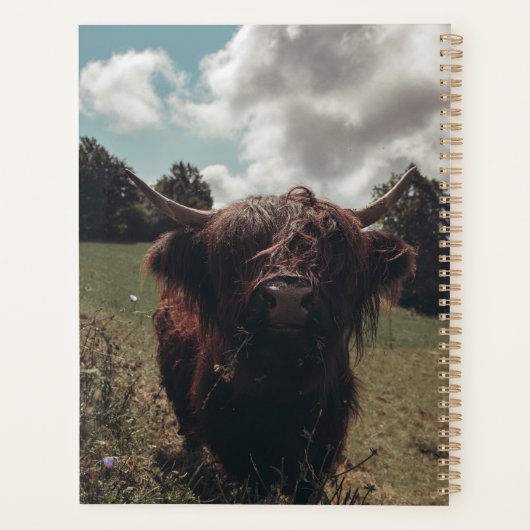 Zwarte hoogland Schotse koe grazend  retro Planner (Achterkant)
