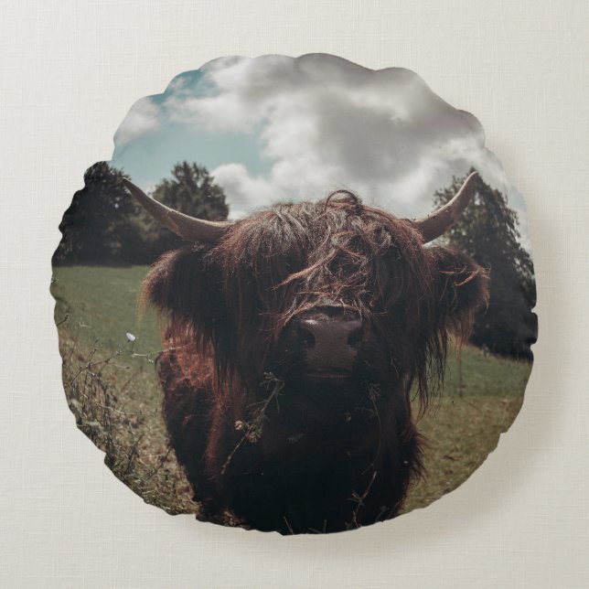 Zwarte hoogland Schotse koe grazend  retro Rond Kussen (Voorkant)